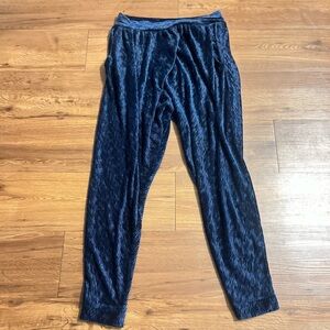 Free People Blue Velvet Pants Size S